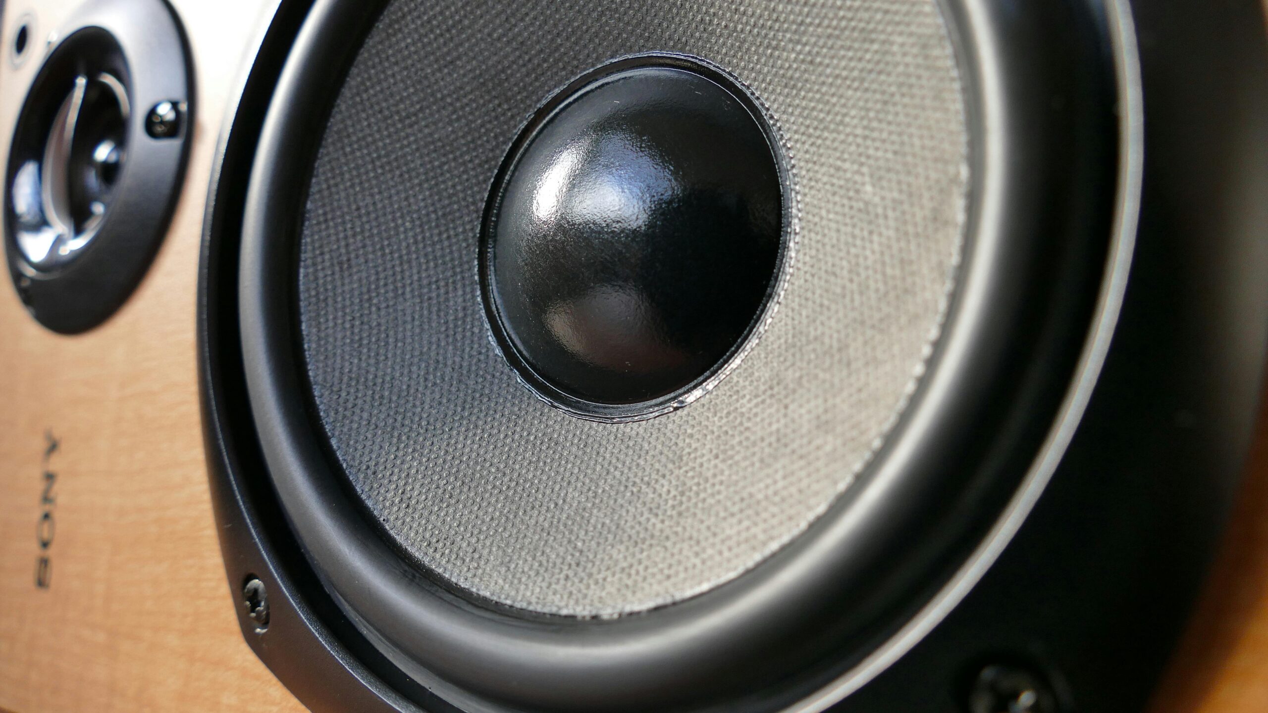 Close-up of a hi-fi speaker woofer with textured cone and black dust cap